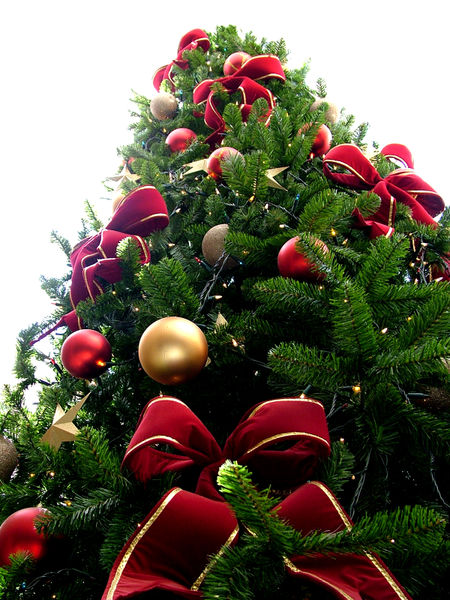 albero_natale0612.jpg
