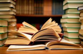 bibliotecario0211.jpg